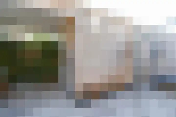 Fiep Westendorplaan 175 Zaltbommel thumbnail 42
