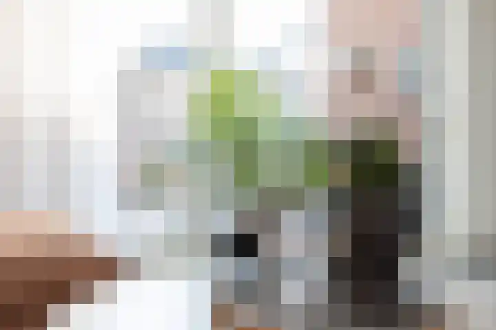 Fiep Westendorplaan 175 Zaltbommel thumbnail 7