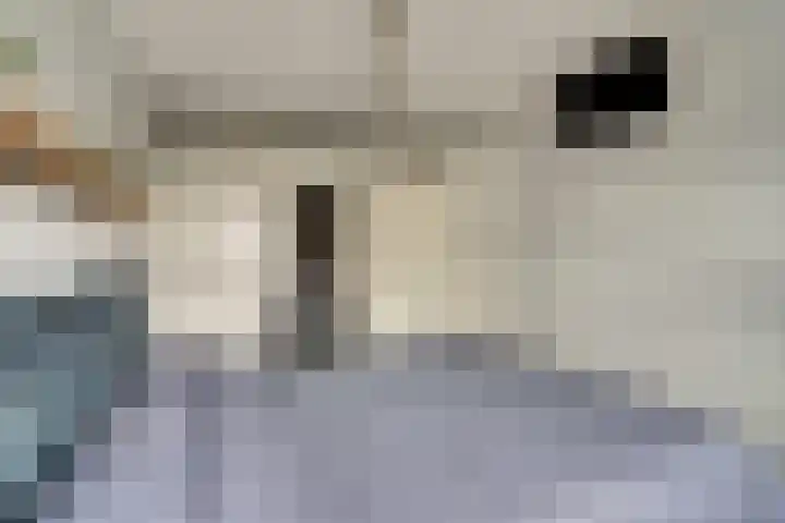 Fiep Westendorplaan 177 Zaltbommel thumbnail 17