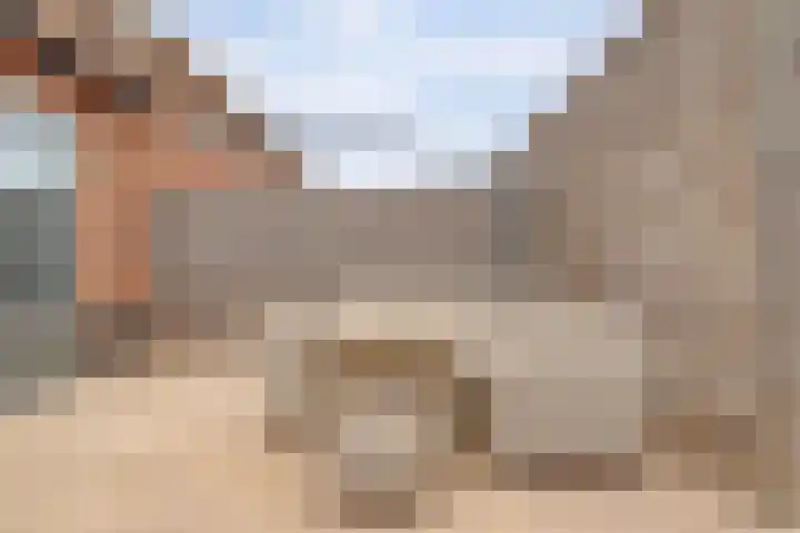 Fiep Westendorplaan 177 Zaltbommel thumbnail 34