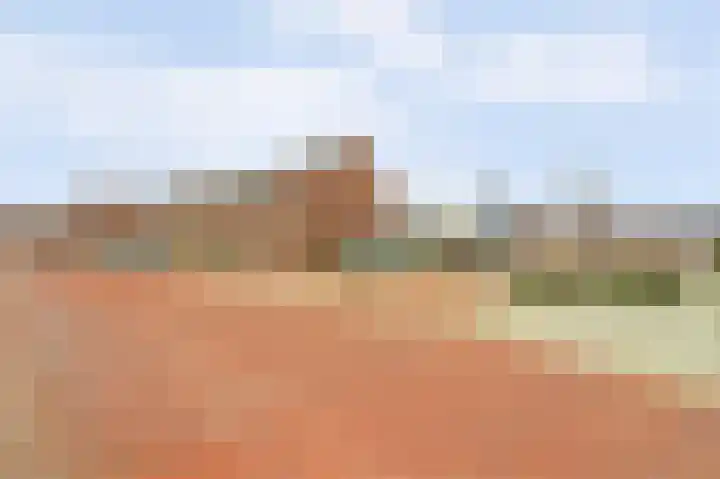 Fiep Westendorplaan 177 Zaltbommel thumbnail 37