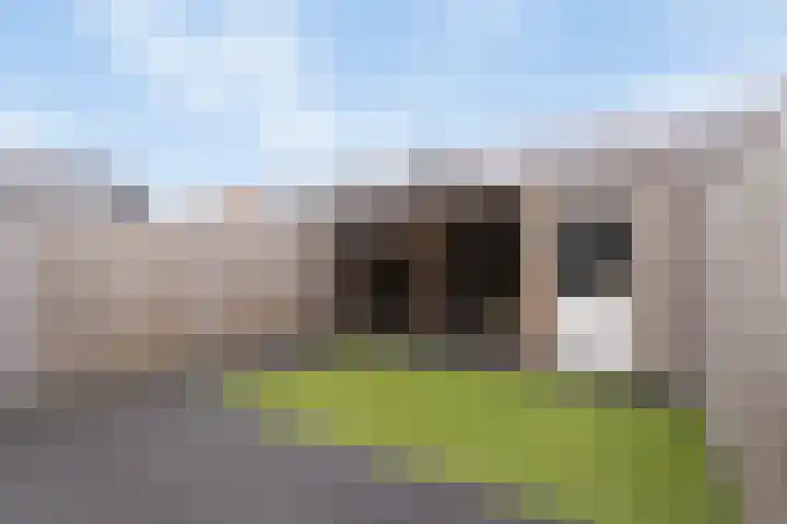 Fiep Westendorplaan 180 Zaltbommel thumbnail 24