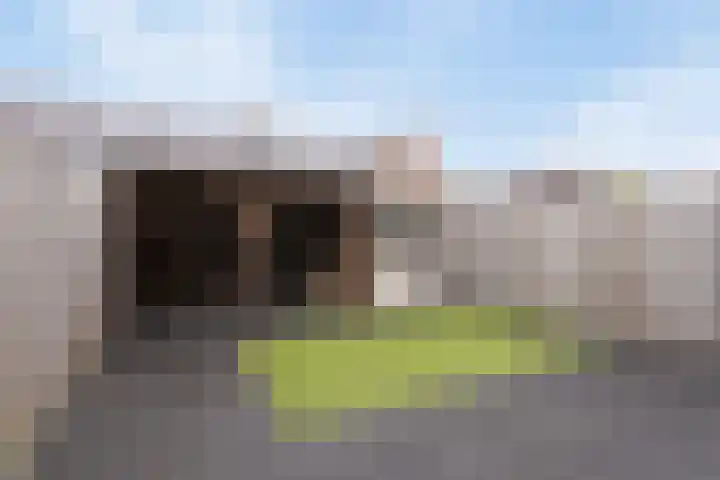 Fiep Westendorplaan 180 Zaltbommel thumbnail 25