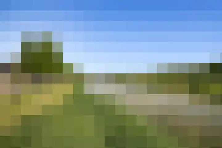 Fiep Westendorplaan 180 Zaltbommel thumbnail 30