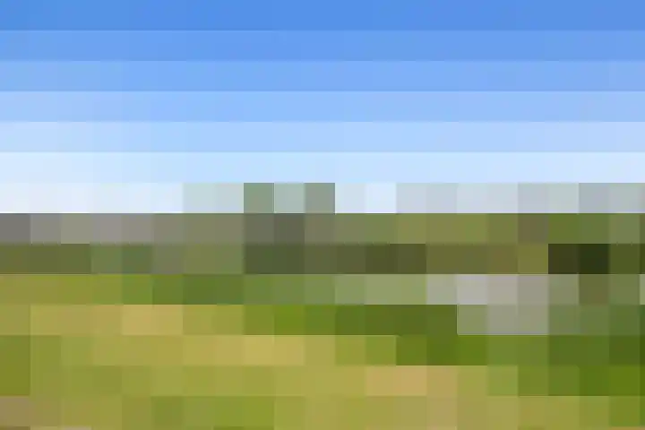 Fiep Westendorplaan 180 Zaltbommel thumbnail 31