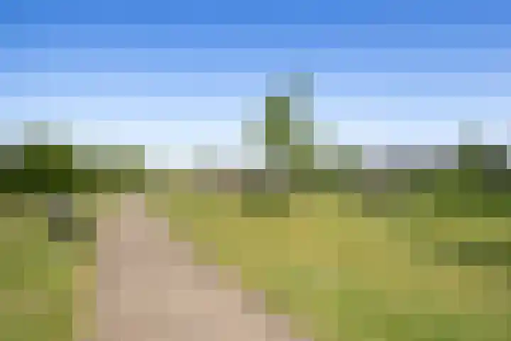 Fiep Westendorplaan 180 Zaltbommel thumbnail 32