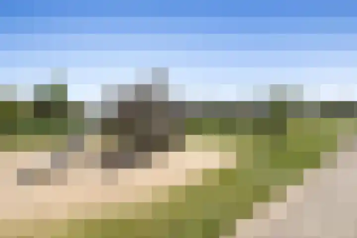 Fiep Westendorplaan 180 Zaltbommel thumbnail 33