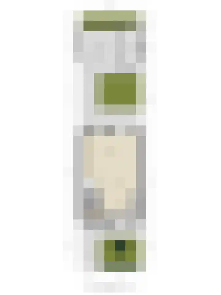 Fiep Westendorplaan 180 Zaltbommel thumbnail 34