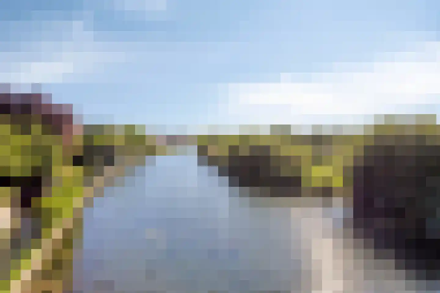 Fiep Westendorplaan 186 Zaltbommel thumbnail 32