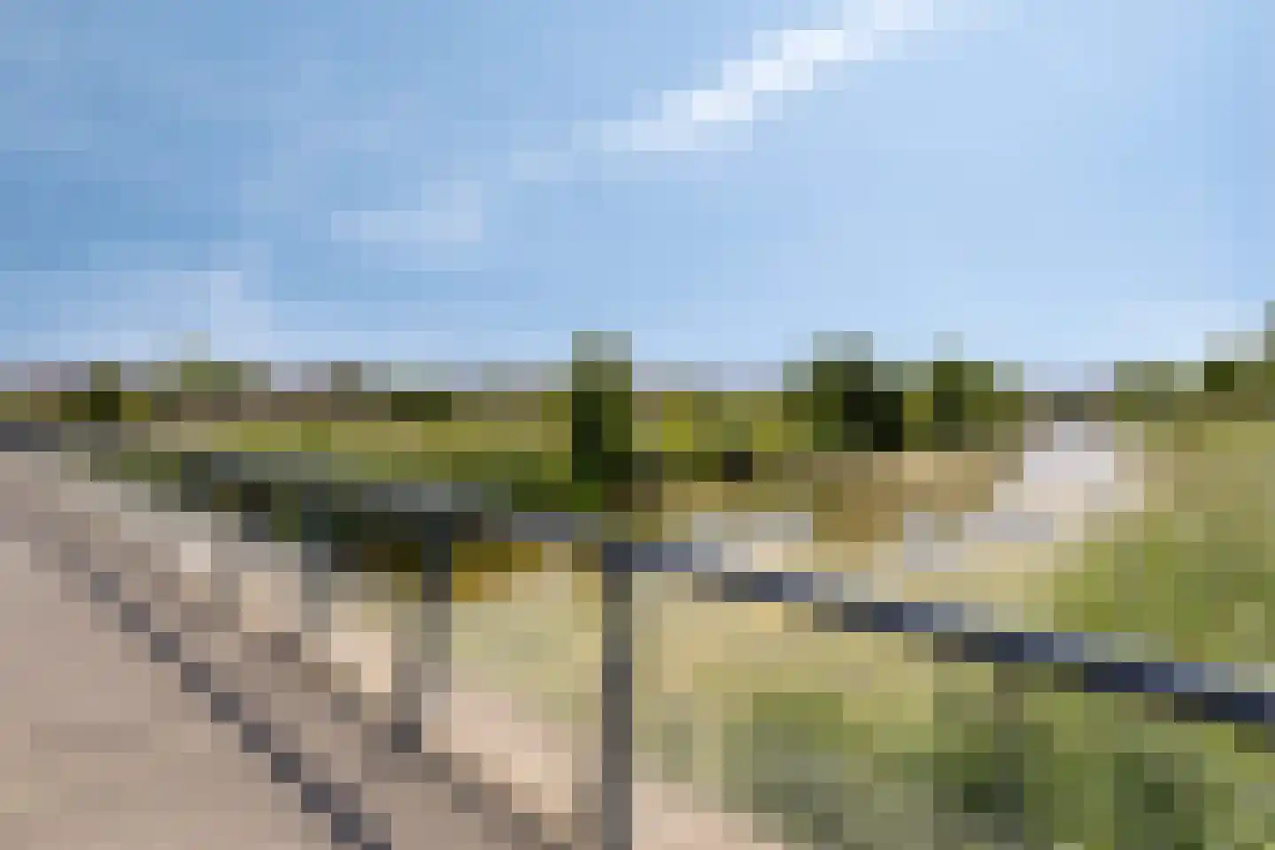Fiep Westendorplaan 186 Zaltbommel thumbnail 34