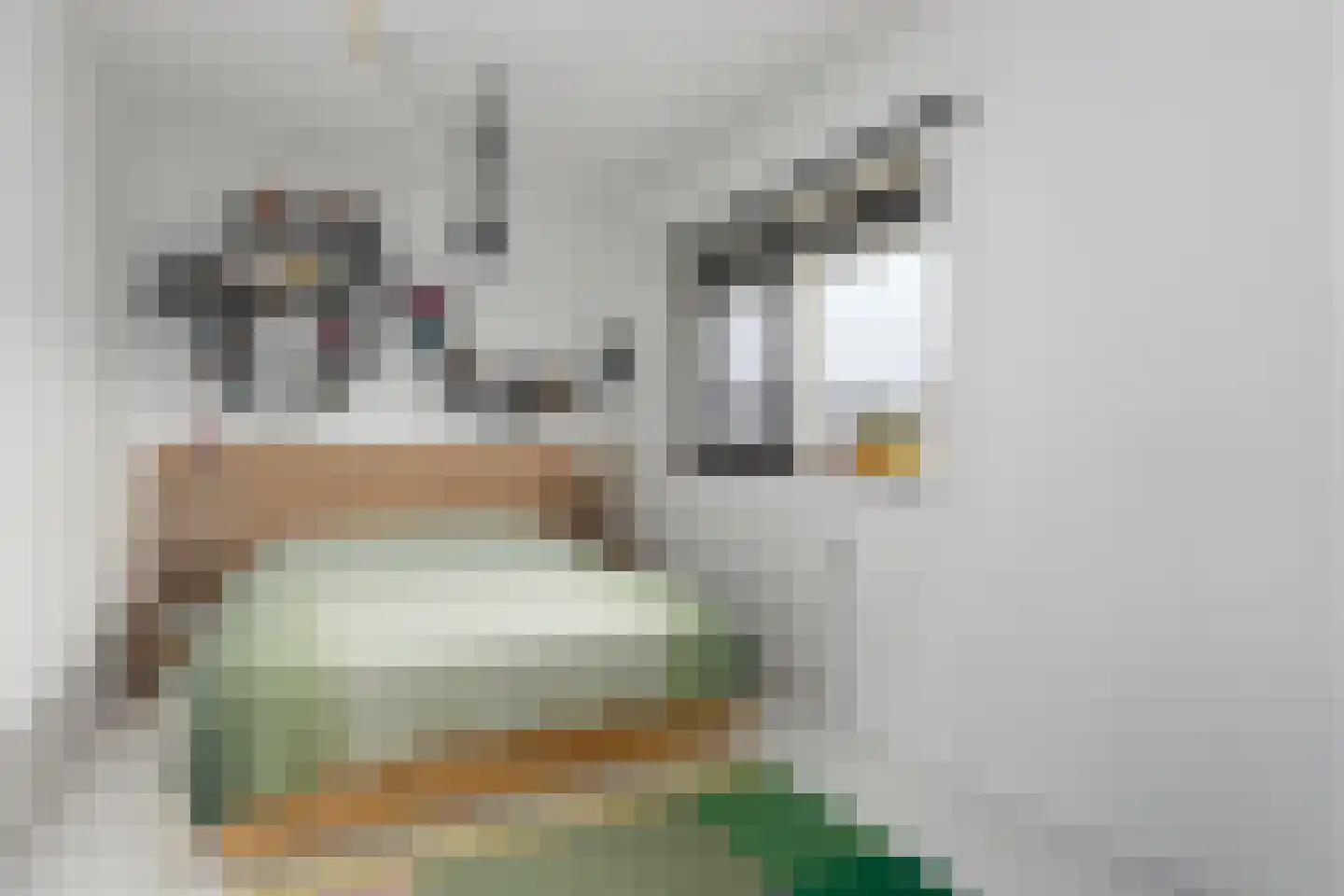 Fiep Westendorplaan 200 Zaltbommel thumbnail 18