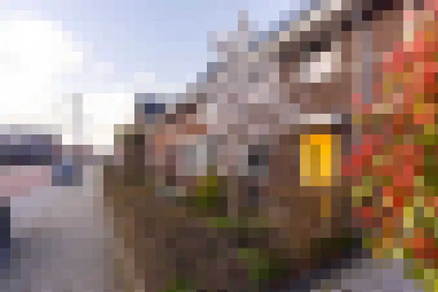 Fiep Westendorplaan 200 Zaltbommel thumbnail 7