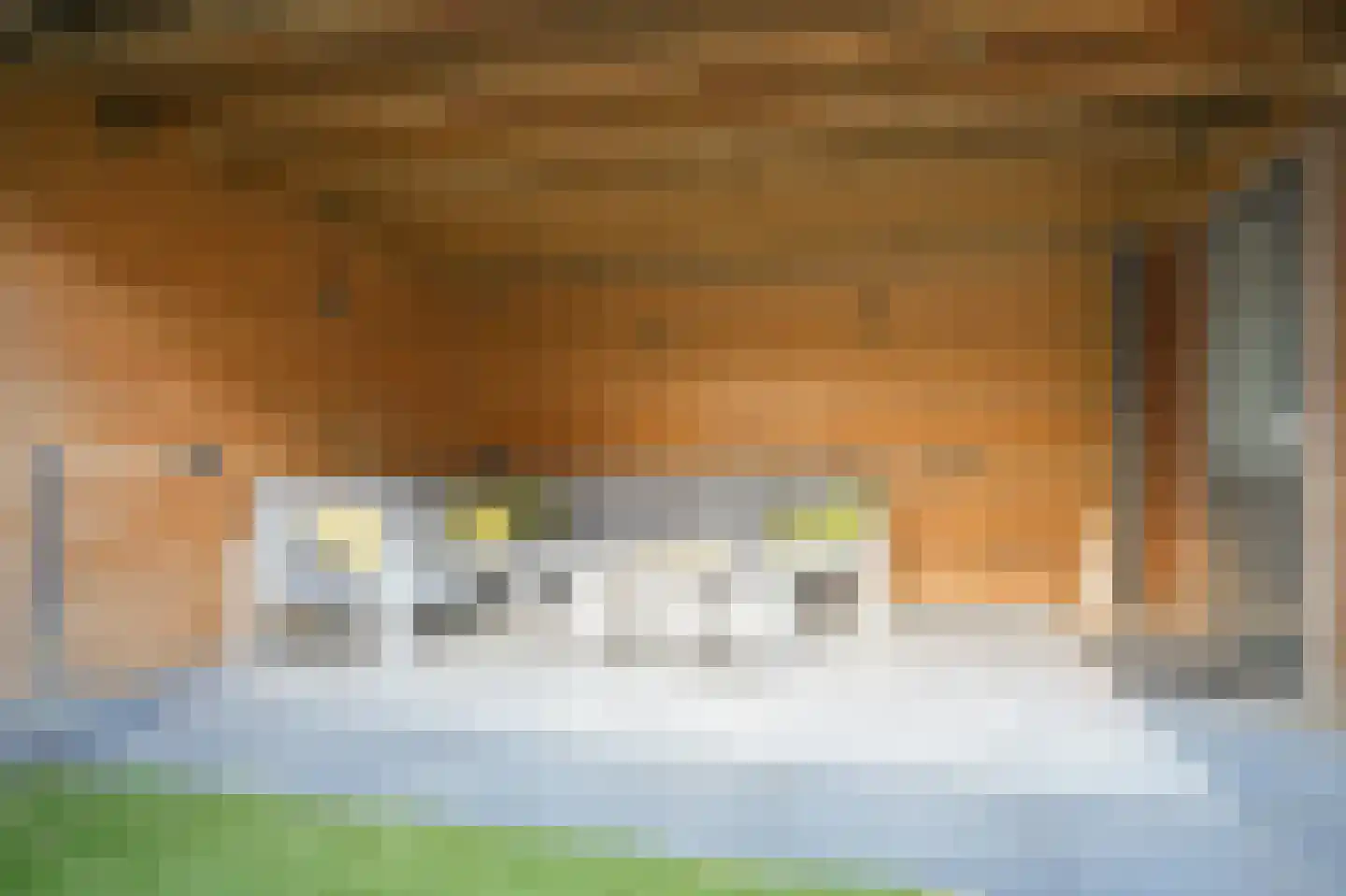 Fiep Westendorplaan 218 Zaltbommel thumbnail 36