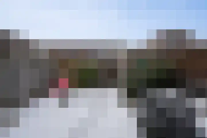 Fiep Westendorplaan 84 Zaltbommel thumbnail 30