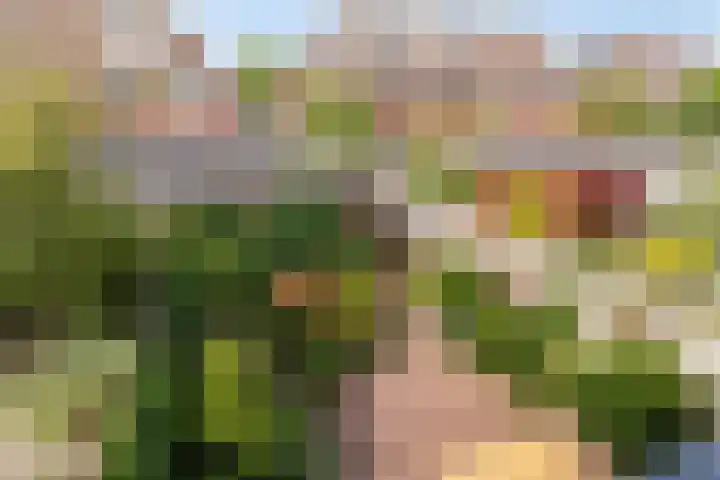 Figarolaan 16 Nieuw-Vennep thumbnail 21
