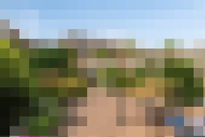 Figarolaan 16 Nieuw-Vennep thumbnail 22