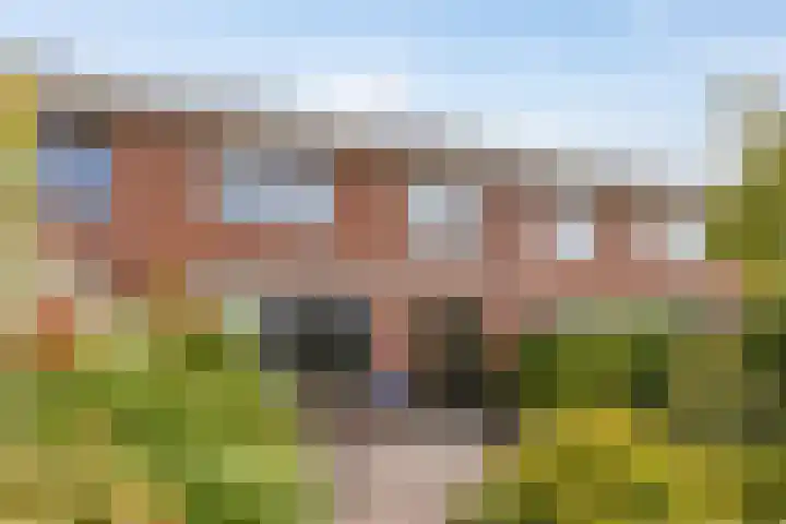 Figarolaan 16 Nieuw-Vennep thumbnail 23