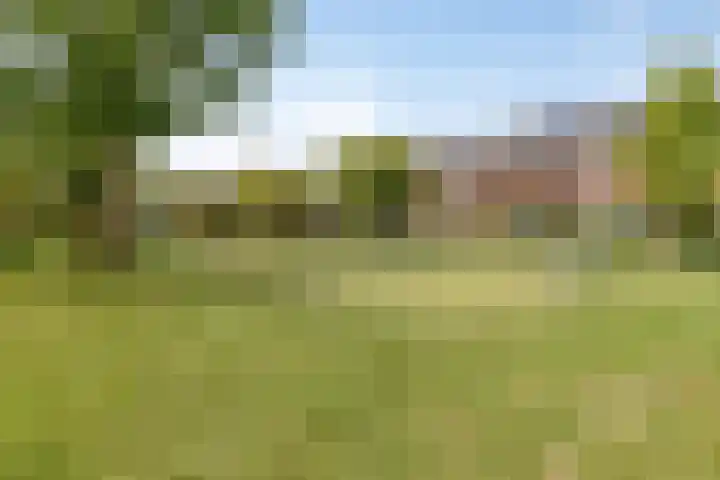 Figarolaan 16 Nieuw-Vennep thumbnail 25