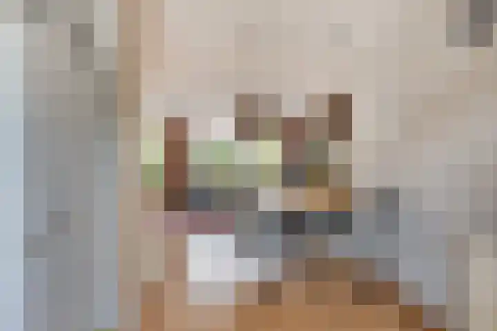 Figarolaan 16 Nieuw-Vennep thumbnail 7