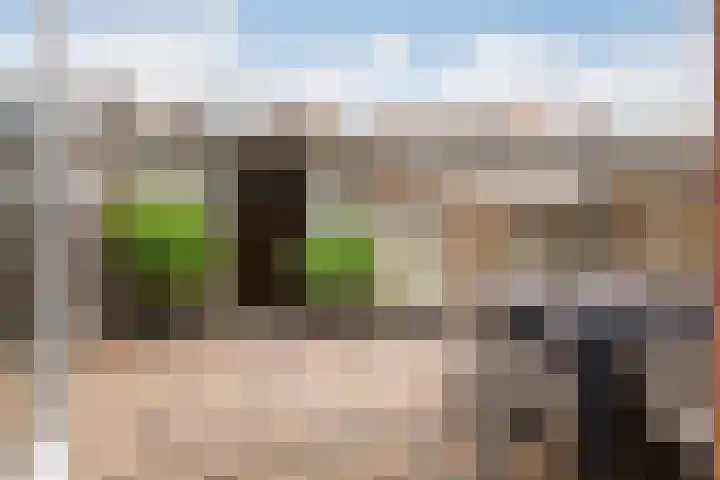 Figarolaan 53 Nieuw-Vennep thumbnail 5