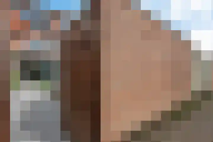 Figarolaan 57 Nieuwegein thumbnail 33