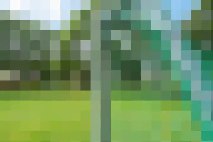Figarolaan 57 Nieuwegein thumbnail 35