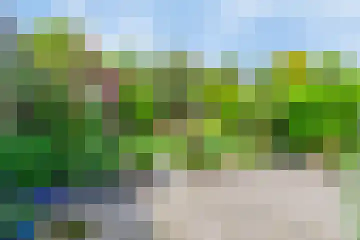 Figaropad 5 Amersfoort thumbnail 35