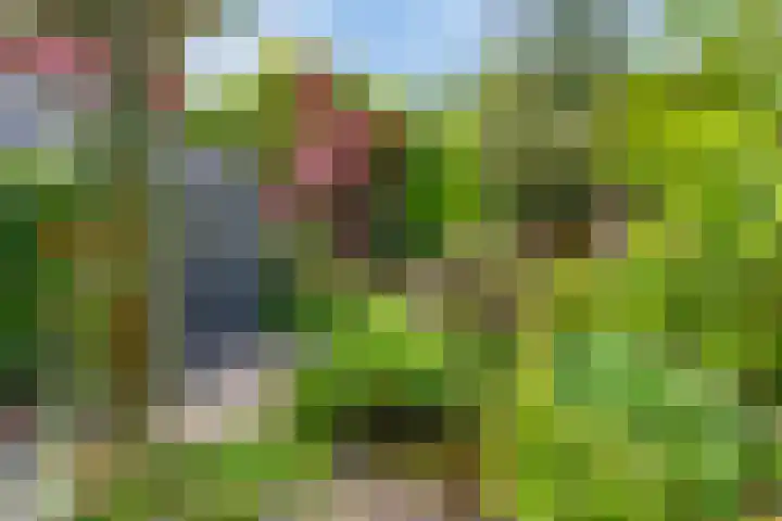Figaropad 5 Amersfoort thumbnail 39