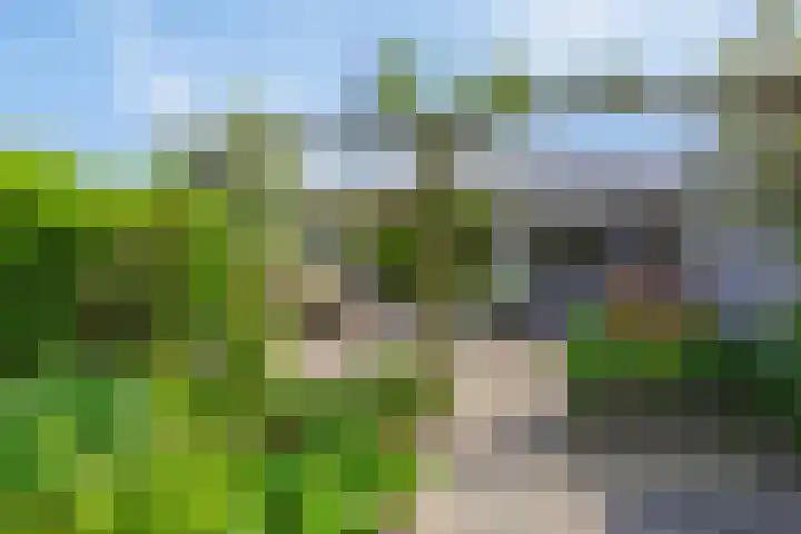 Figaropad 5 Amersfoort thumbnail 4
