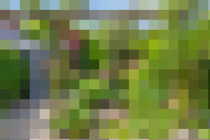 Figaropad 5 Amersfoort thumbnail 40