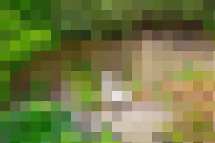 Figaropad 5 Amersfoort thumbnail 42