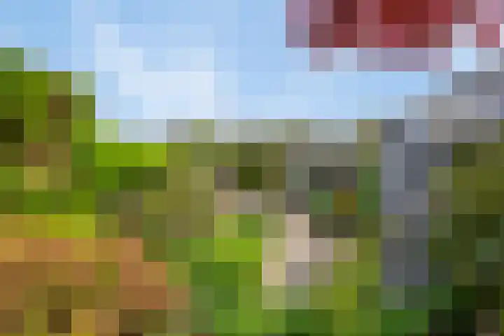 Figaropad 5 Amersfoort thumbnail 43