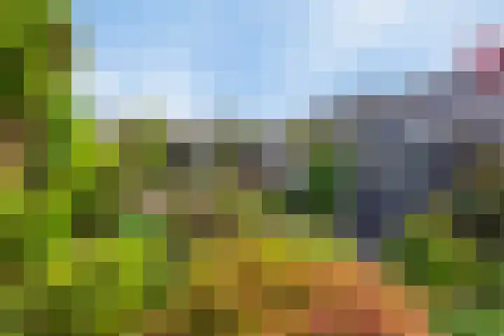 Figaropad 5 Amersfoort thumbnail 44