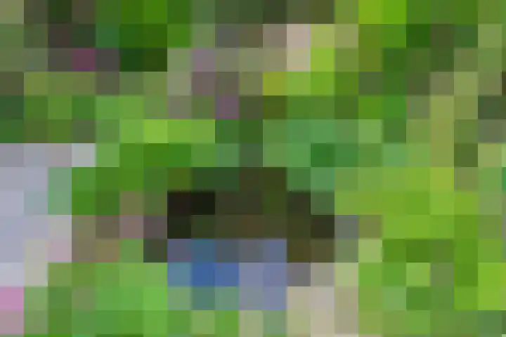 Figaropad 5 Amersfoort thumbnail 45