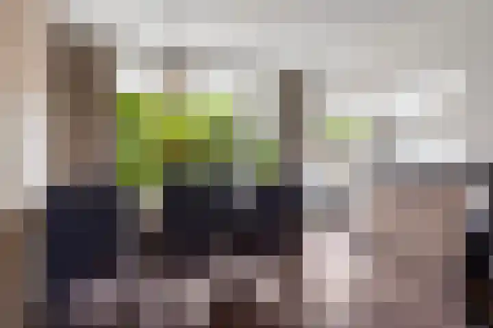 Figarostraat 43 Apeldoorn thumbnail 6