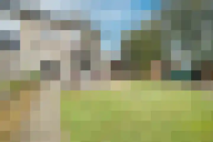 Figarostraat 49 Apeldoorn thumbnail 33