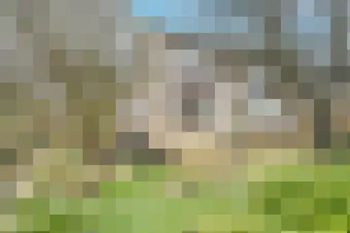 Figarostraat 49 Apeldoorn thumbnail 42