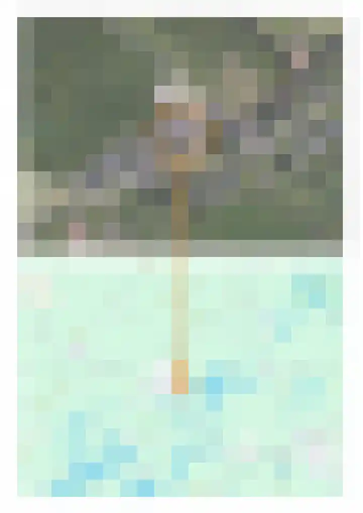 Fiifgeawei 21 Offingawier thumbnail 20