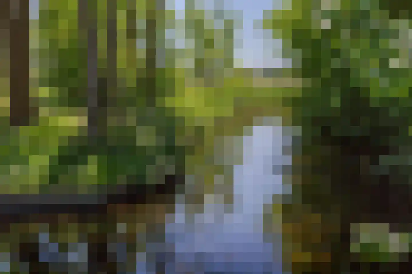 Fiifgeawei 8 Offingawier thumbnail 22