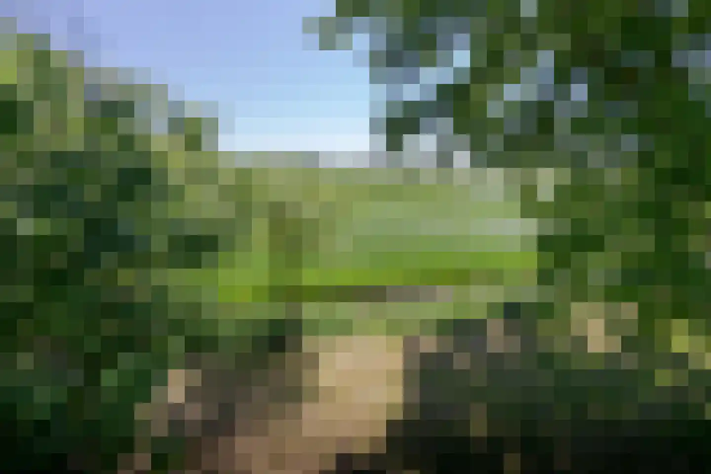 Fiifgeawei 8 Offingawier thumbnail 26