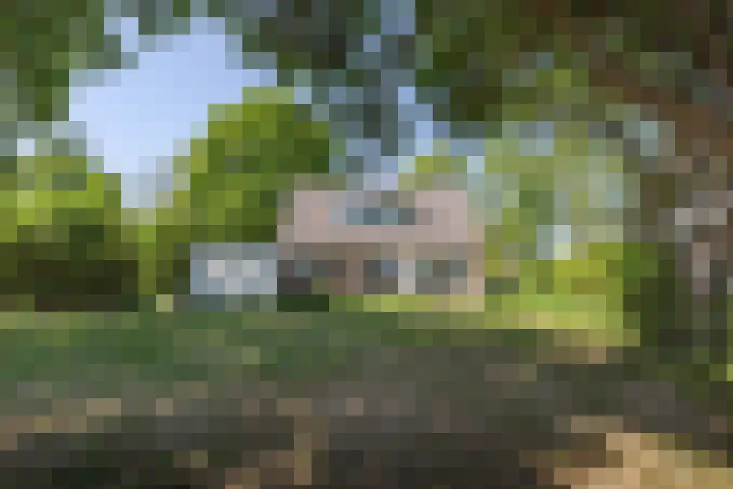 Fiifgeawei 8 Offingawier thumbnail 29