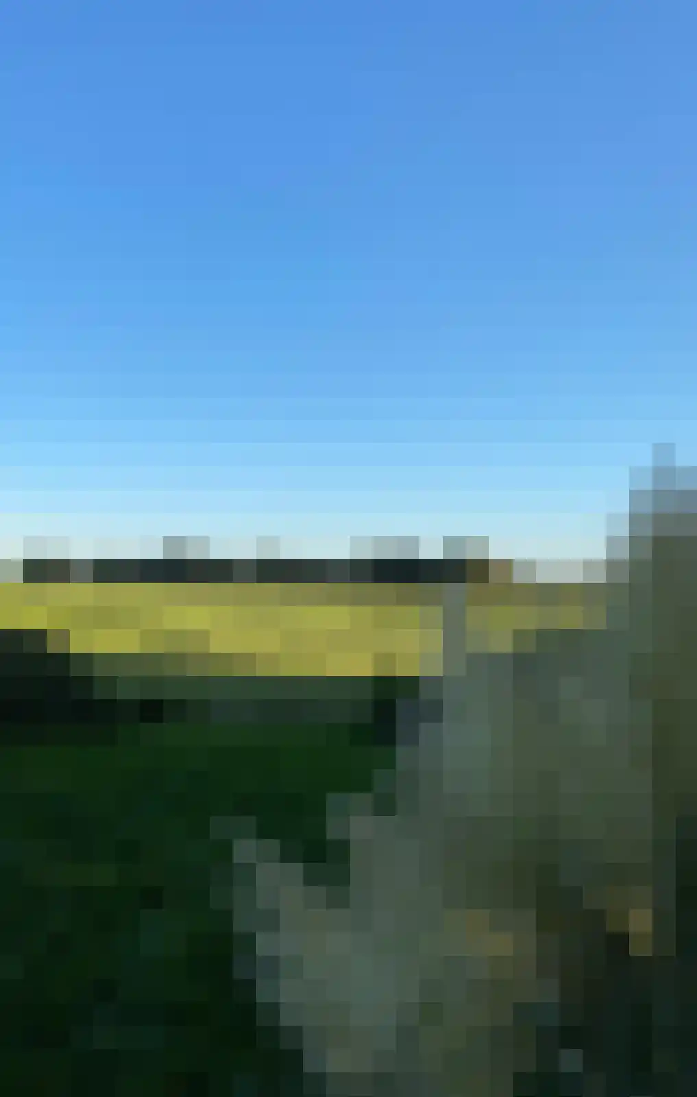 Fiifgeawei 8 Offingawier thumbnail 33
