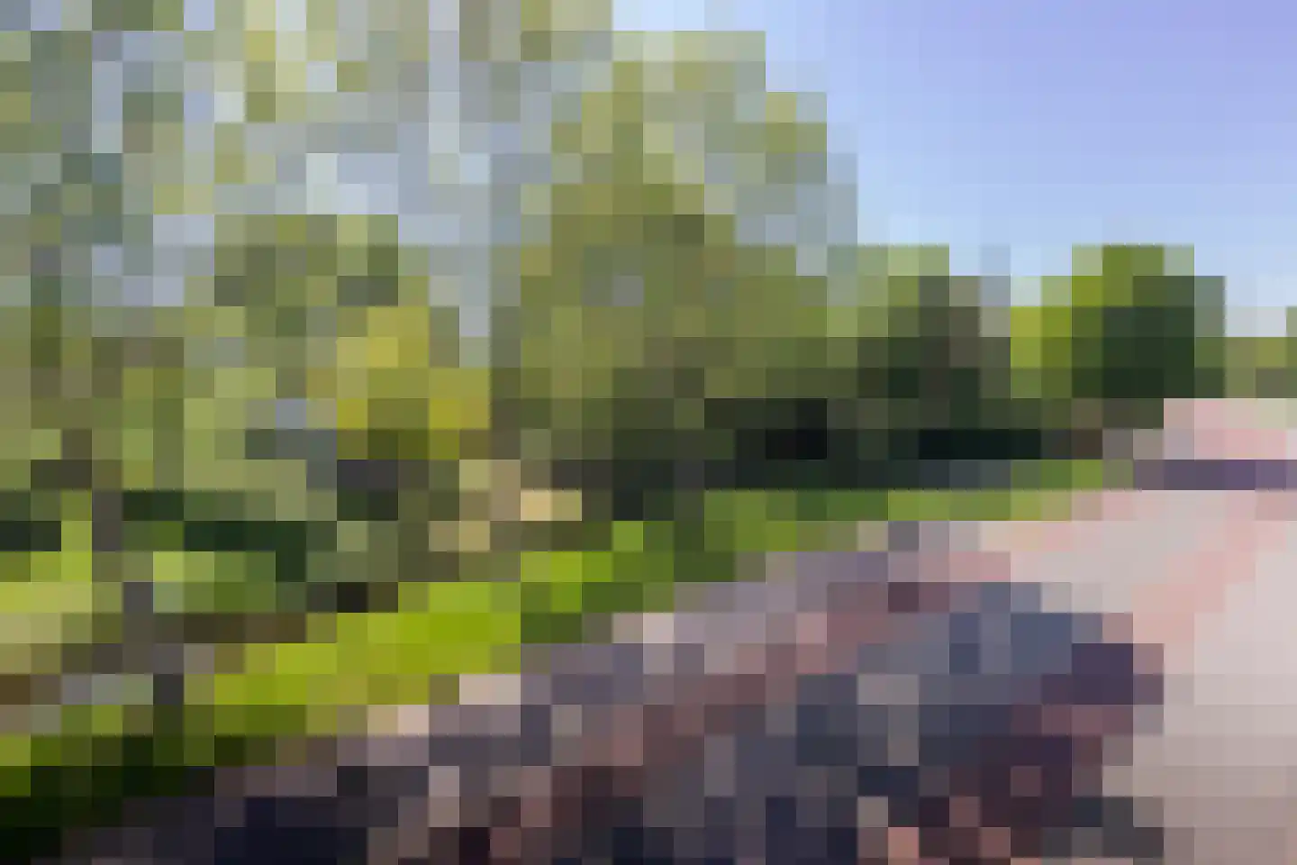 Fiifgeawei 8 Offingawier thumbnail 9