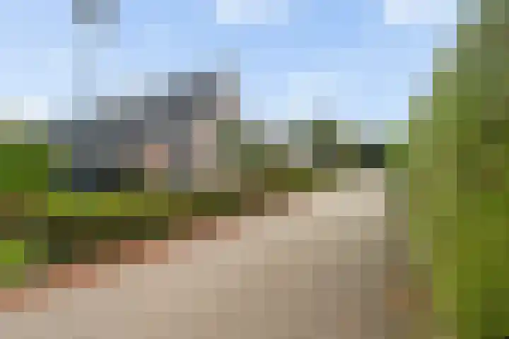Fiifhoeke 5 Nijega thumbnail 10