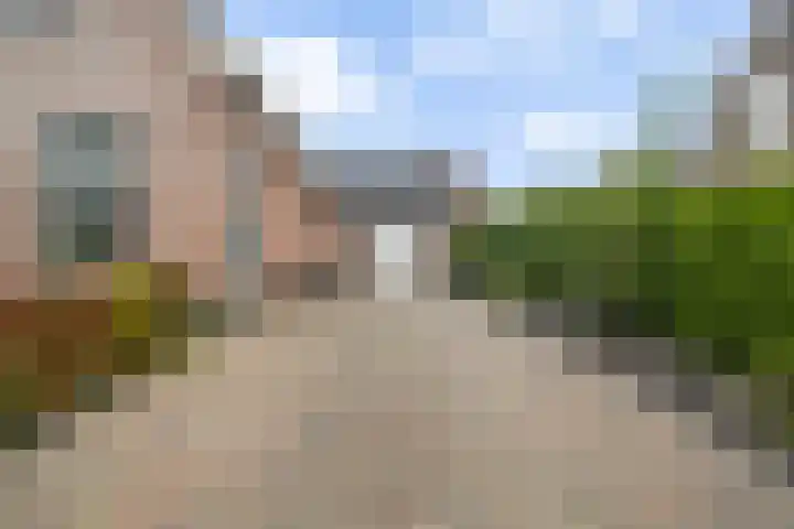 Fiifhoeke 5 Nijega thumbnail 11