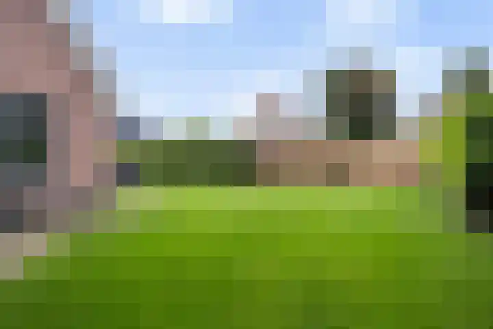 Fiifhoeke 5 Nijega thumbnail 15