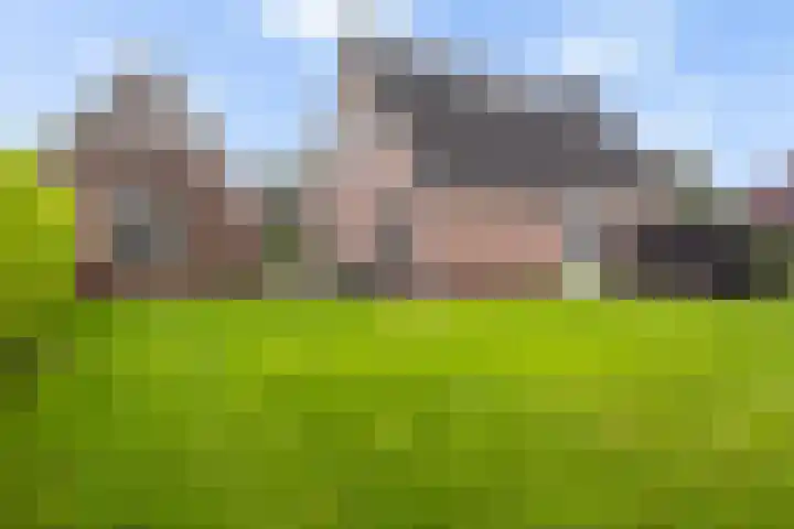 Fiifhoeke 5 Nijega thumbnail 16