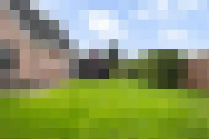 Fiifhoeke 5 Nijega thumbnail 17