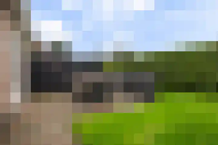 Fiifhoeke 5 Nijega thumbnail 18