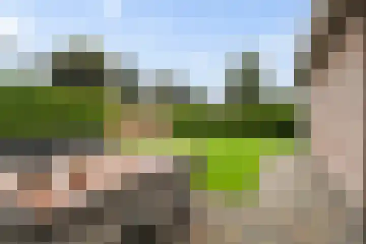Fiifhoeke 5 Nijega thumbnail 19